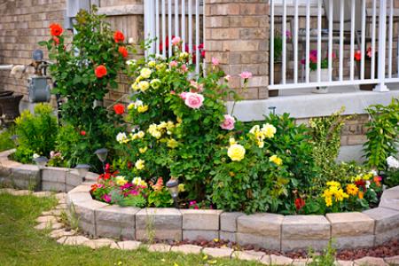 Annual Flower Bed Installation