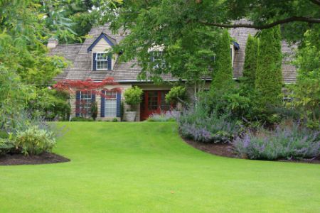 Lawn Fertilization